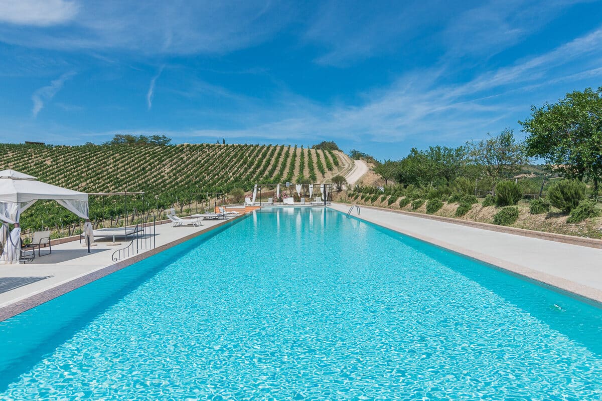 Apartment for sale in Le Marche with swimming pool and vineyard views